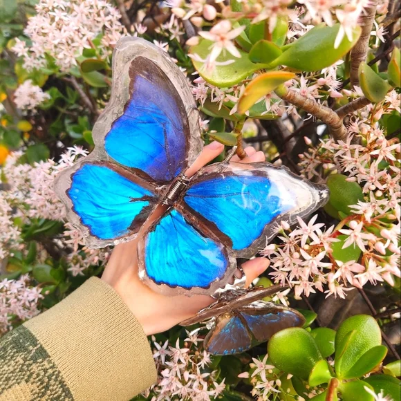 Accessories | Handmade Butterfly Hair Clip Preorder | Poshmark display picture 1